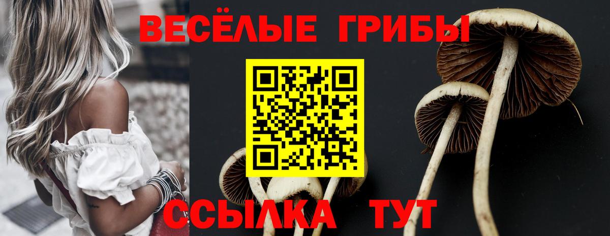 Комсомольск-на-Амуре  Галлюциногенные грибы Magic Shrooms  Вход с VPN  Псилоцибиновые грибы мицелий 